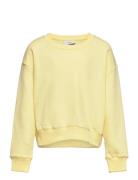 Our L Crew Sweat Yellow Grunt
