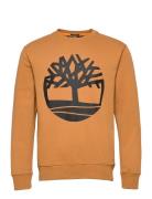 Core Logo Crew Bb Orange Timberland