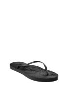 Slim Eggnog Flip Flop Black SLEEPERS