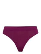 Brief Purple Schiesser