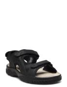 Loop Marstrand Sandal Brun 46 Black Marstrand