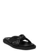 Allistar Sandal Black Steve Madden