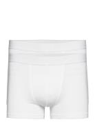 Boxer Brief Modal 2-Pack White Bread & Boxers