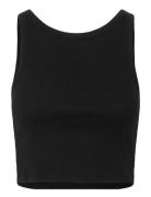 Drewgz Cropped Top Black Gestuz