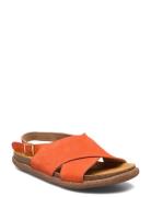 Sandals - Flat - Open Toe - Op  ANGULUS