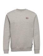 Oakport Sweatshirt Grey Dickies