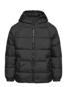 Hood Quilted Coat Black Mango