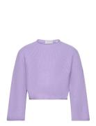 Basic Sweater Purple Tom Tailor