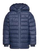 Pu Winter Jacket Blue CeLaVi