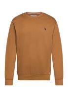 Uspa Sweat O Neck Adler Men Brown U.S. Polo Assn.