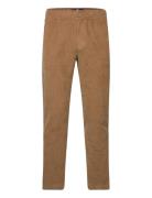 Hco. Guys Pants Brown Hollister