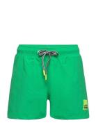 Niko Solid Green Molo