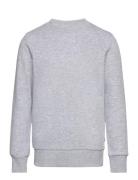 Jjebradley Sweat Crew Noos Jnr Grey Jack & J S