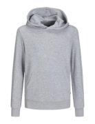 Jjebradley Sweat Hood Noos Jnr Grey Jack & J S