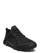 Mx M Black ECCO