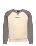 Nlmtreams Ls Bru O-Neck Sweat Grey LMTD