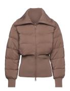 Padded Rib Waist Jacket Brown Calvin Klein