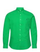 Gd Oxford-Slbdppcs Green Polo Ralph Lauren