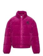 Juicy Velour Puffa Purple Juicy Couture