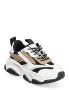 Jpossession Sneaker Patterned Steve Madden