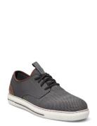 Mens Pertola - Rolette Black Skechers