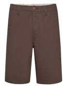 Casey Chino Shorts Brown Wrangler