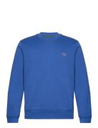 Sweatshirts Blue Lacoste