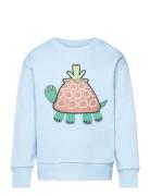 Sweater Turtle Blue Lindex