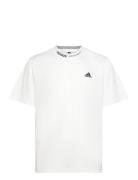Bl Mesh T Q3 White Adidas Sportswear