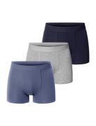 3-Pack Boxer Brief Blue Bread & Boxers