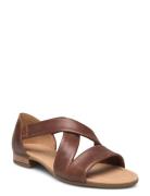 Flat Sandal Brown Gabor