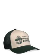 Smokey Bear Sinclair Green/Off White American Needle Green American Ne...