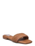 Allure Sandal Brown Steve Madden