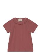 T-Shirt Ss Pink En Fant