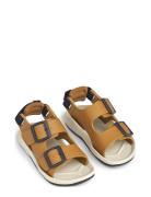 Anni Sandals Brown Liewood