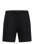 Hco. Guys Shorts Black Hollister