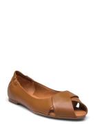 Ballerina Brown Billi Bi