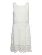 Dress Lace Skater White Lindex