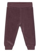 Pants Velour Burgundy Fixoni