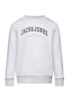 Jjecaleb Varsity Sweat Crew Neck Sn Jnr Grey Jack & J S