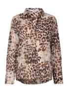 Printed Cotton Shirt Brown Mango