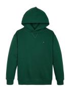 U Timeless Hoodie Green Tommy Hilfiger