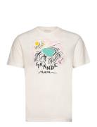 Print Ss Tshirt Cream GANT