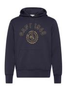 Graphic Hoodie Navy GANT