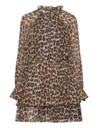 Leopard-Print Flared Dress Brown Mango