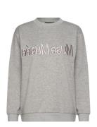 Cmeva-Sweatshirt Grey Copenhagen Muse