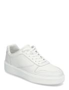 Low Top Lace Up Bskt Lth White Calvin Klein