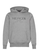 Big Hilfiger Hoody Grey Tommy Hilfiger