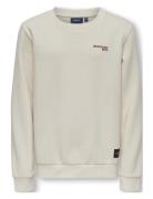 Kobcolumbus L/S Print Swt Cream Kids Only