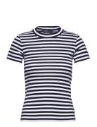 Striped Ribbed Cotton Crewneck Tee Blue Polo Ralph Lauren